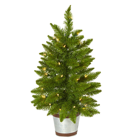 a tree in a pot