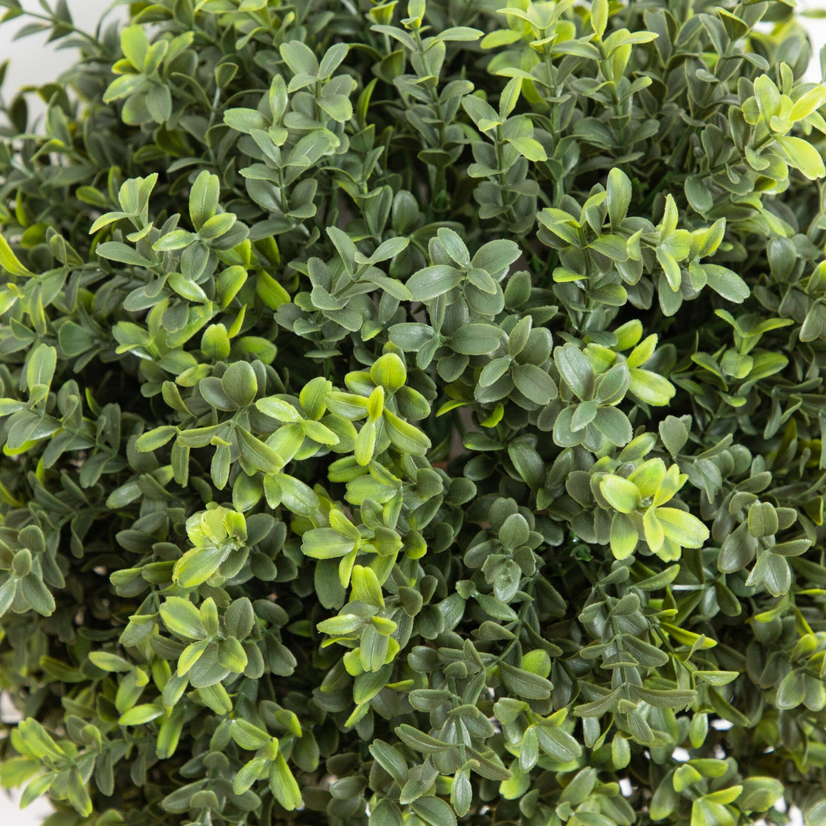 2' UV Resistant Artificial Boxwood Topiary with Integrated Ground Stake (Indoor/Outdoor) - Set of 2