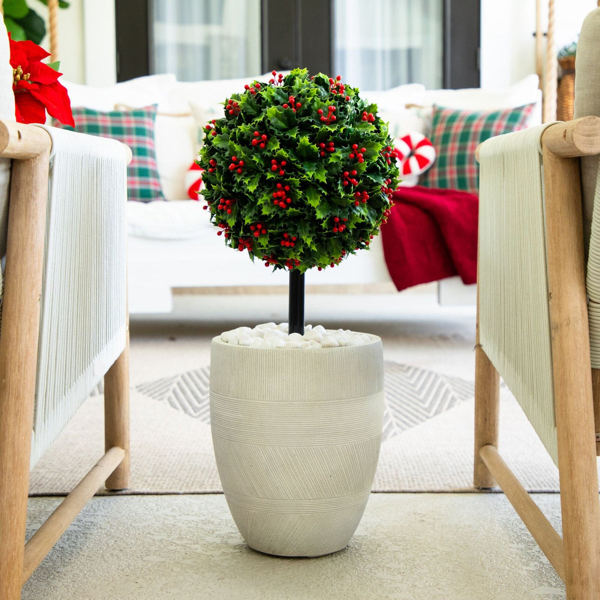 a plant in a pot
