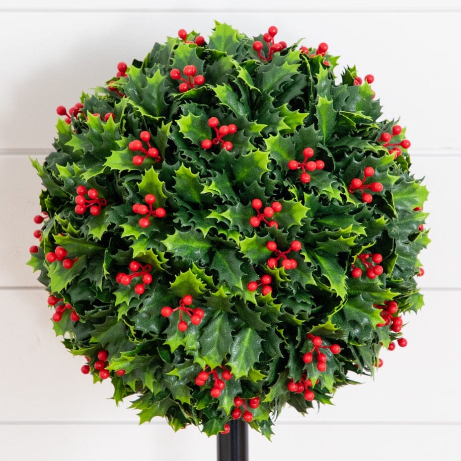 a green plant with red berries