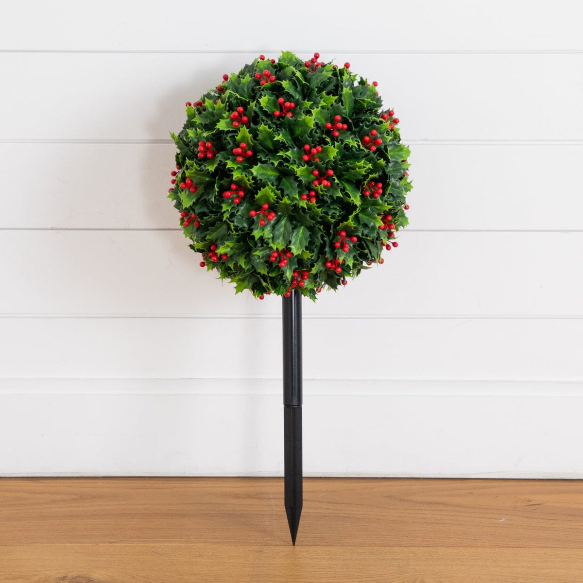 a plant shaped like a ball with a black tip