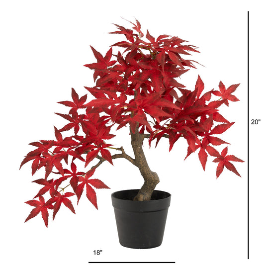 a small red plant in a pot