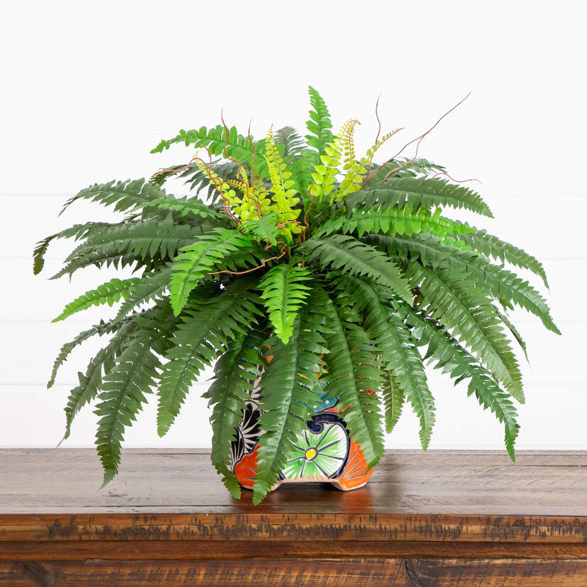a plant in a pot