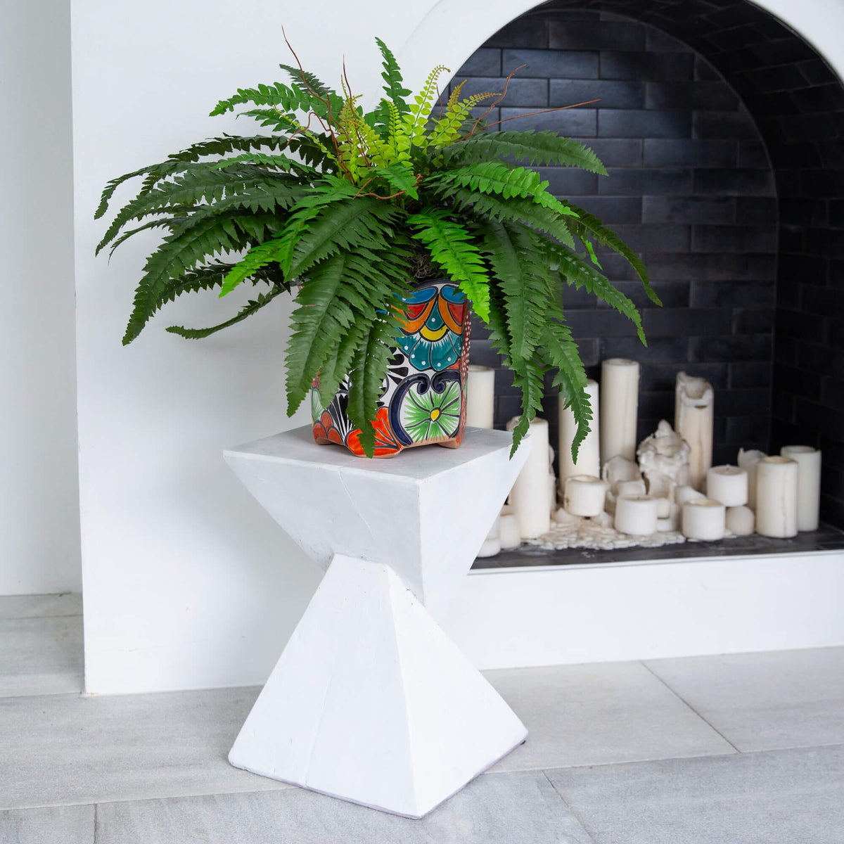a plant in a vase