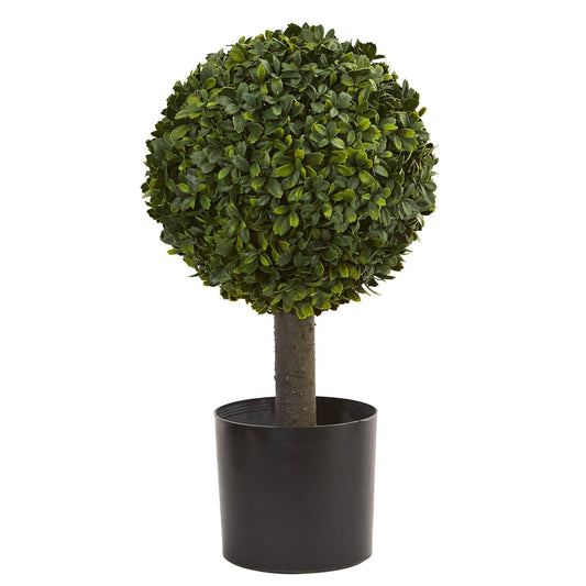 a plant in a pot
