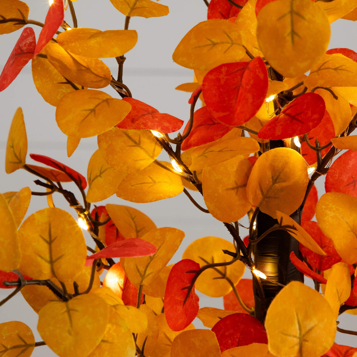 a tree with orange and yellow leaves