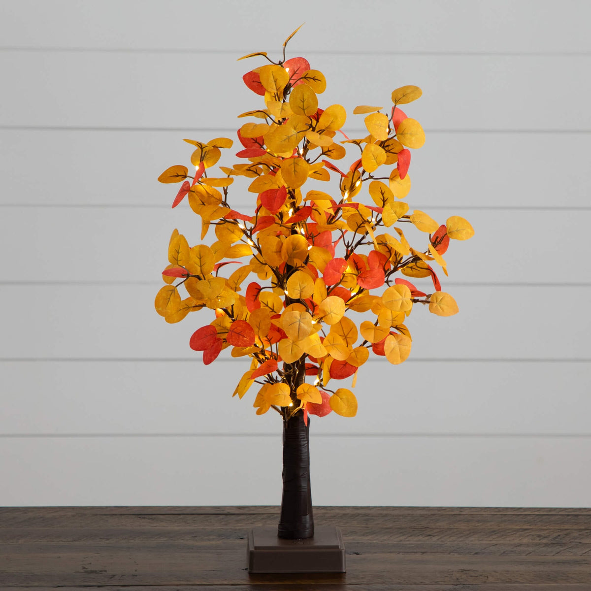a tree with yellow and red leaves