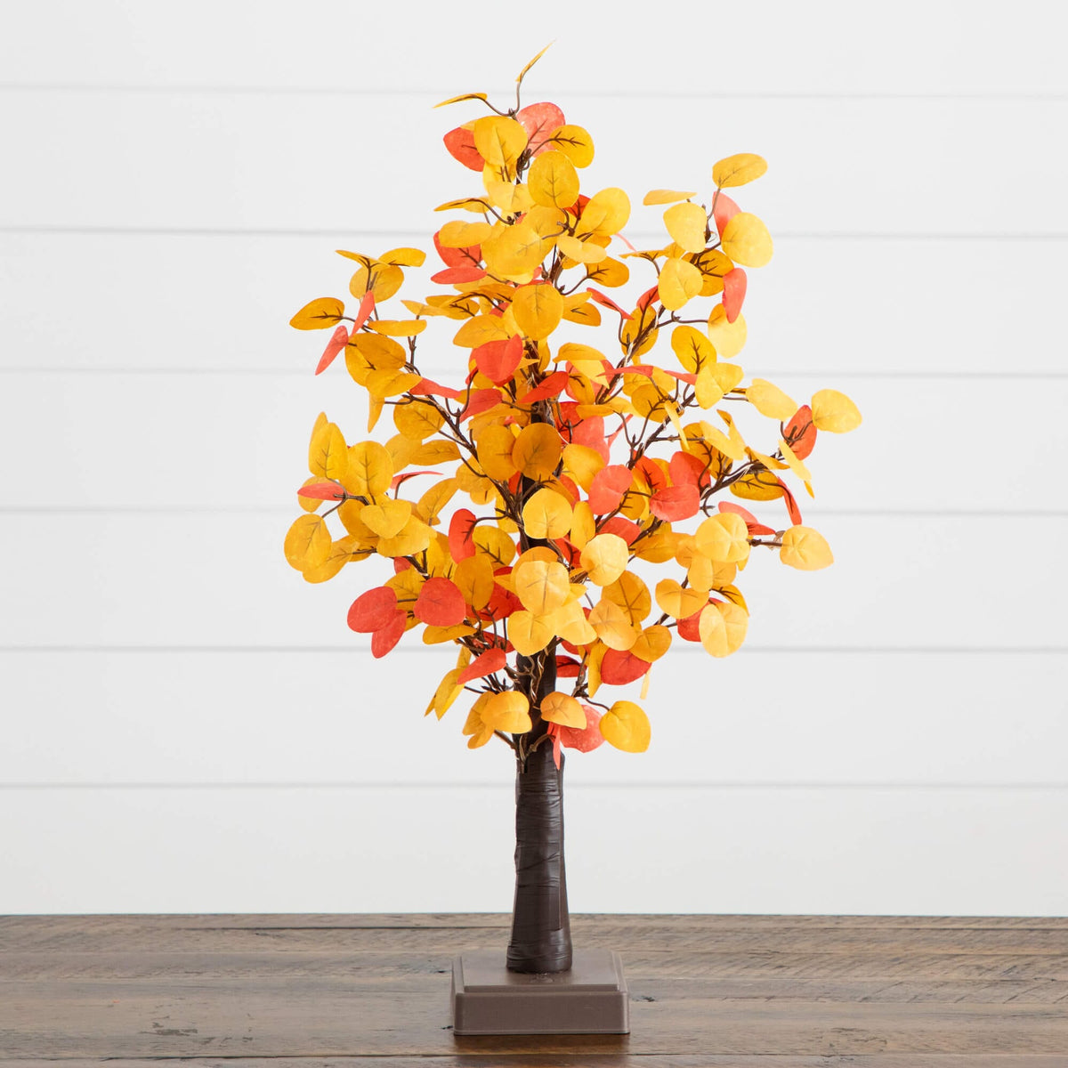 a tree with yellow and red leaves