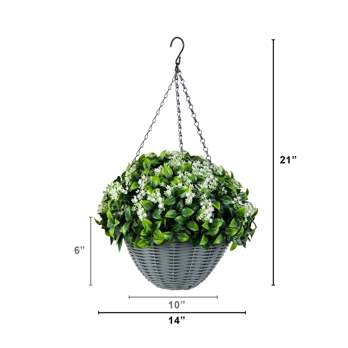 a plant in a basket
