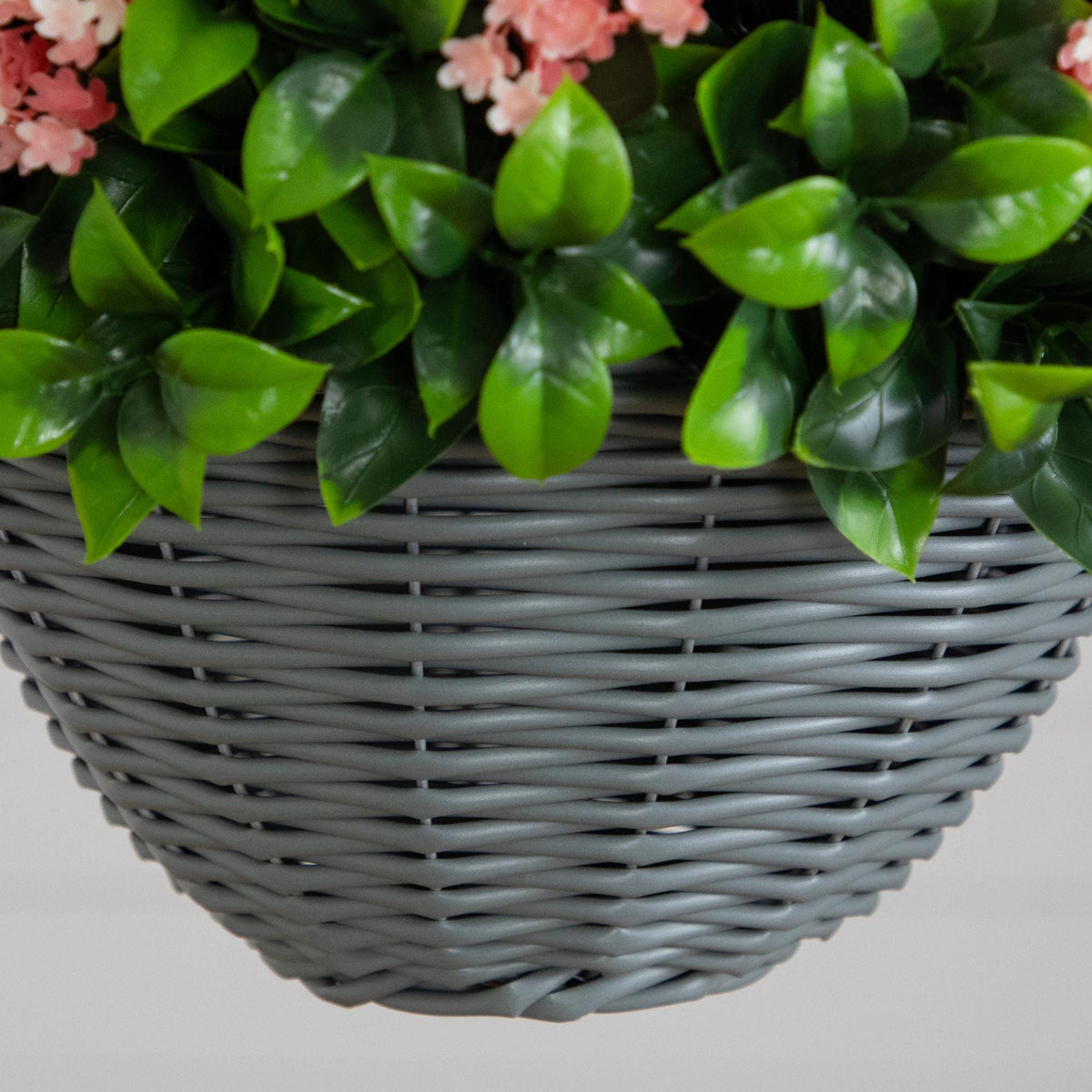 a plant in a basket