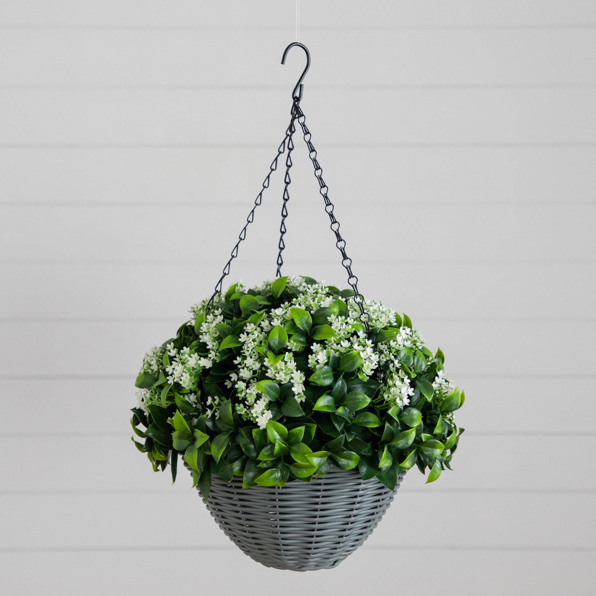 a plant in a basket