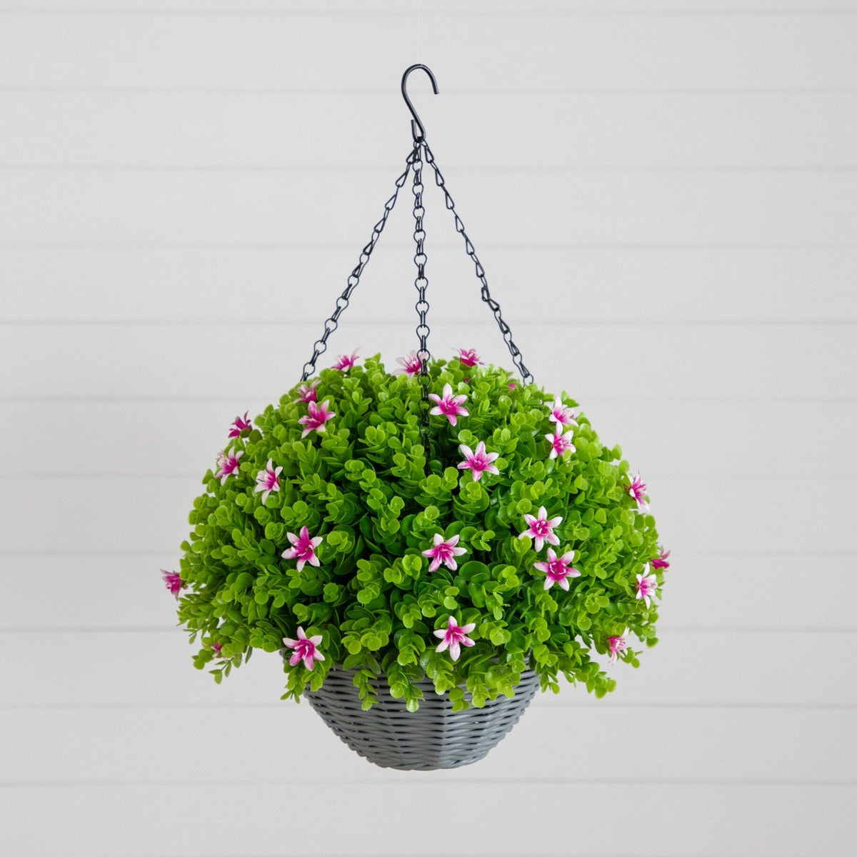 a plant in a basket