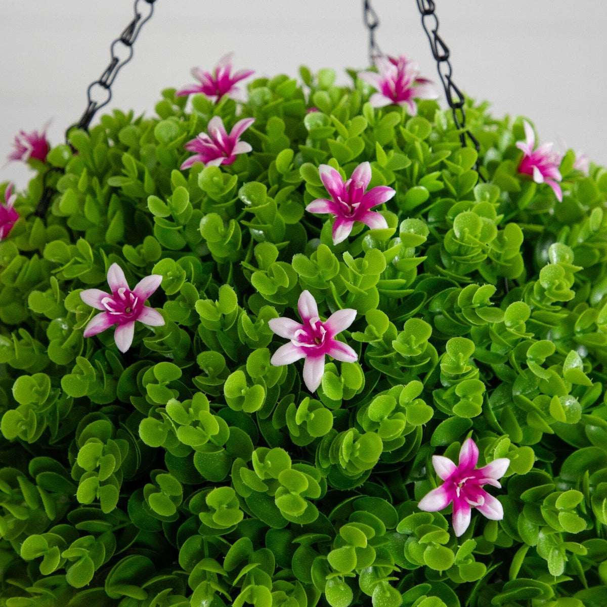 a potted plant with pink flowers