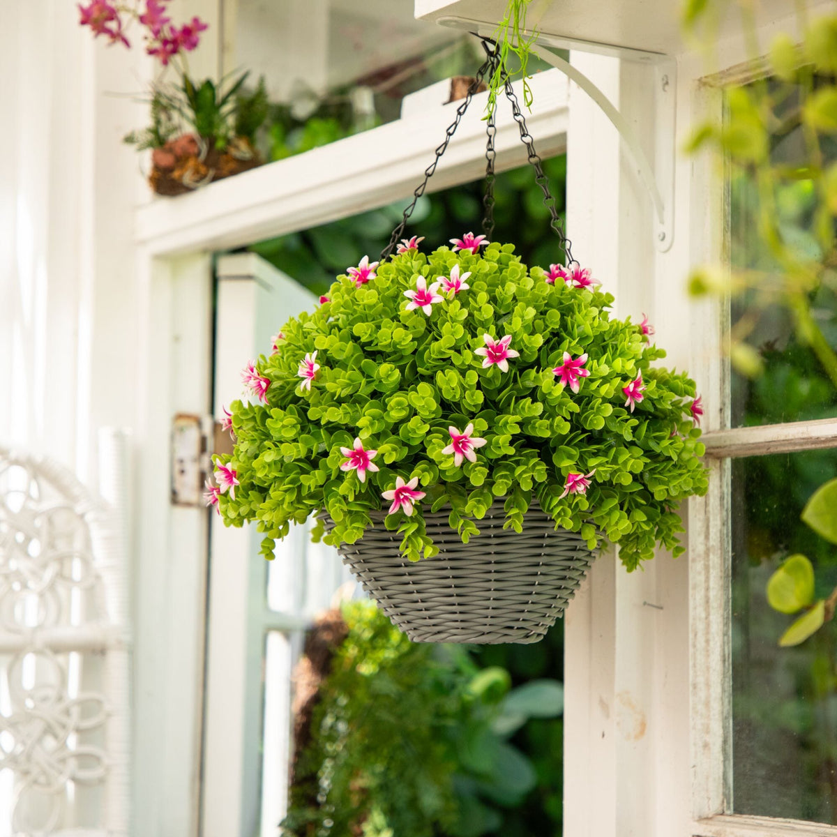 a plant in a basket