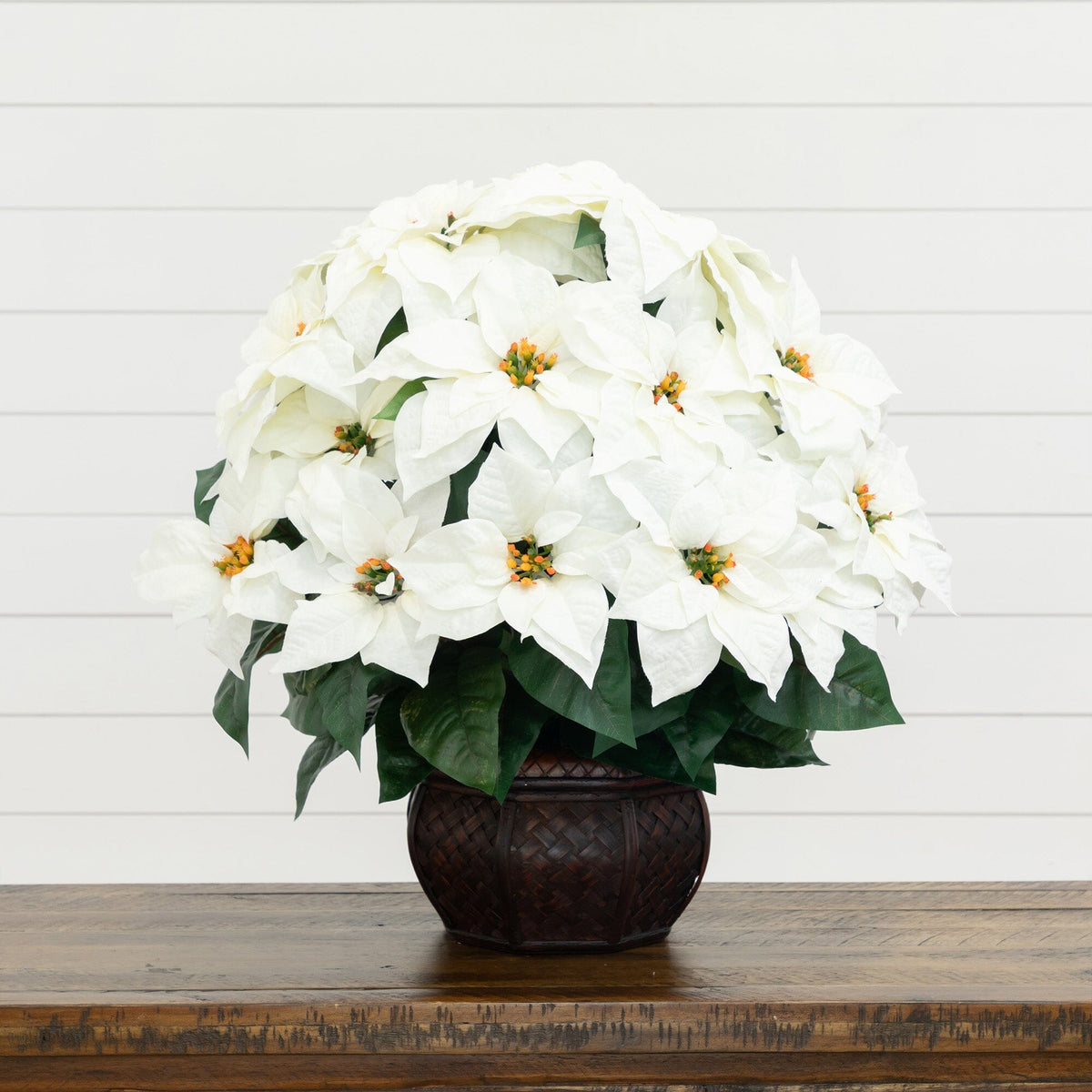 a white flowers in a vase