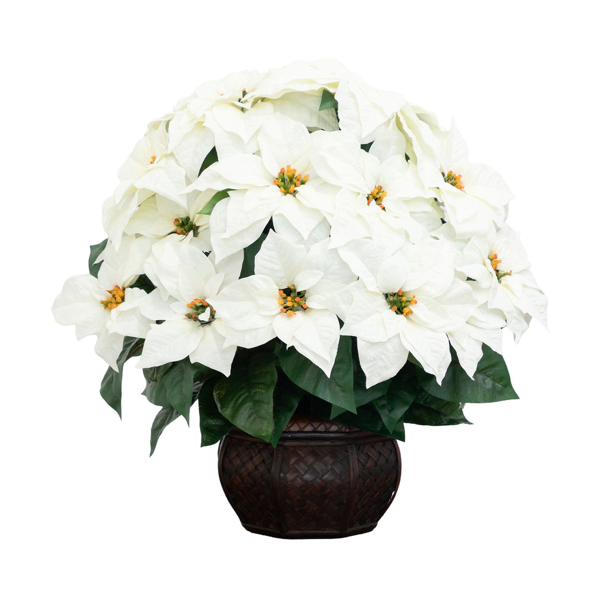 a white flower in a pot