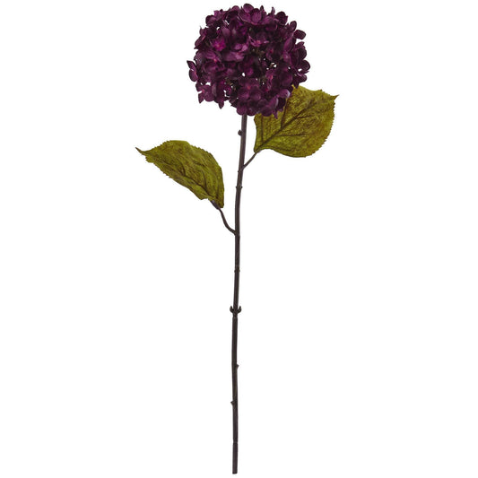 a purple flower with green leaves