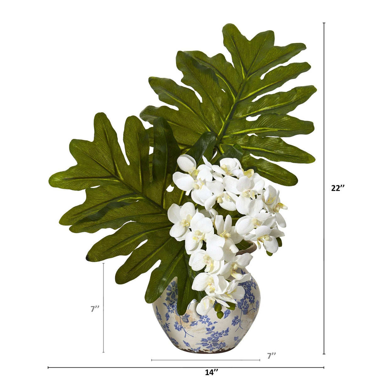 22” Phalaenopsis Orchid and Philo Leaf Arrangement in Vase