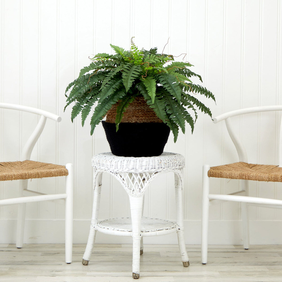 a plant on a table next to two chairs