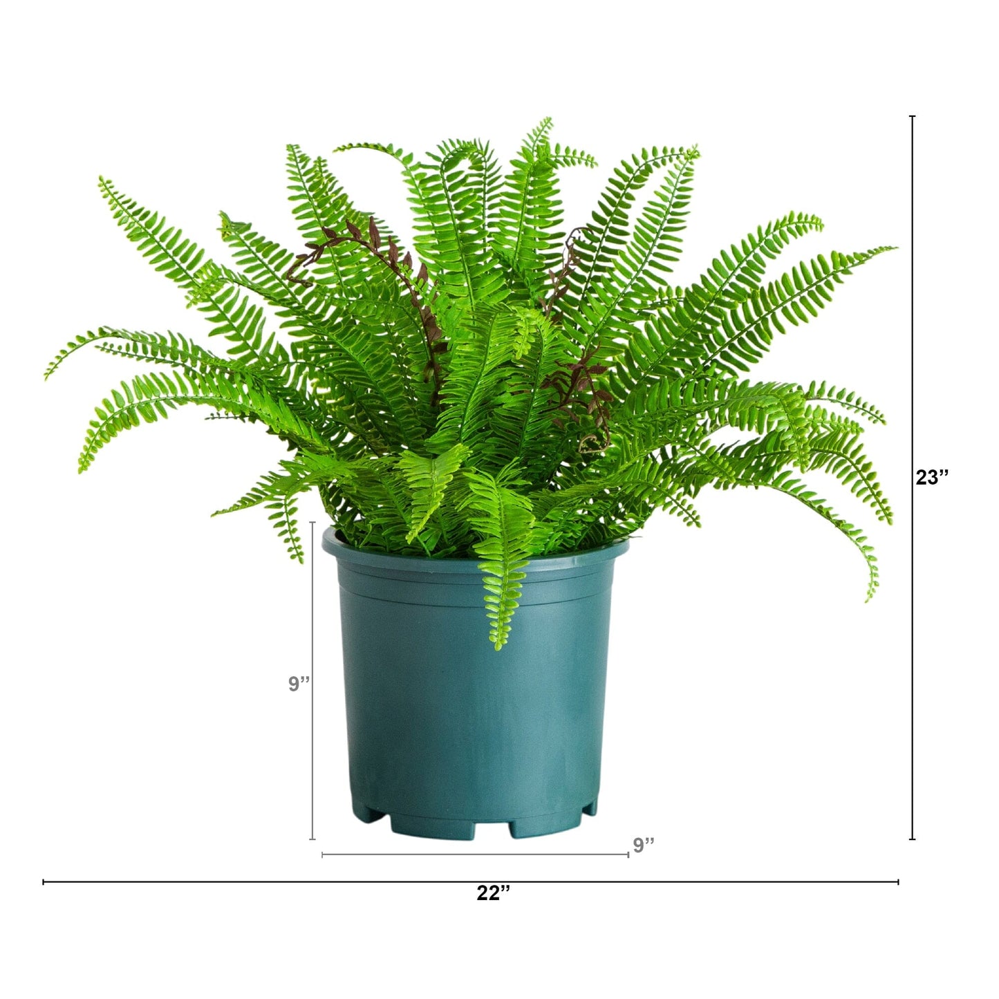 23-in UV Resistant Artificial Real Touch Boston Fern Plant (Indoor/Outdoor)