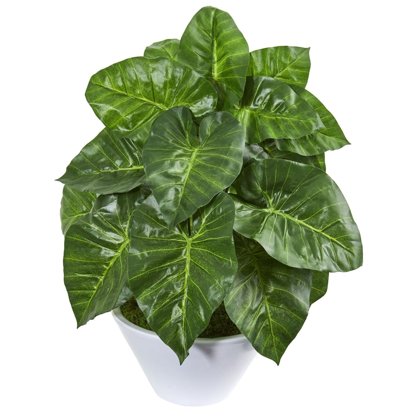 23” Taro Artificial Plant in White Vase