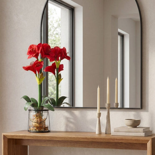 a mirror on a wall