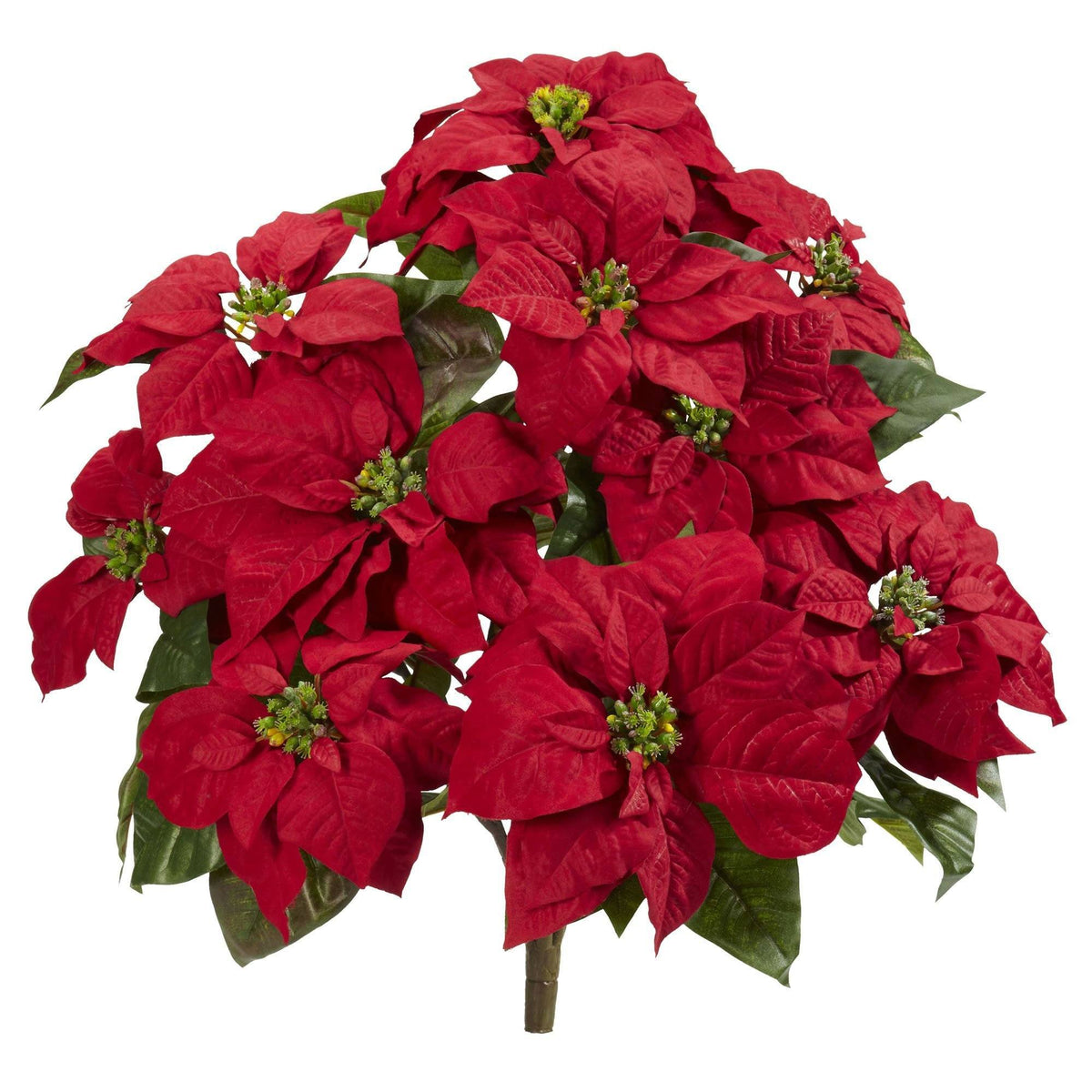 a red flower with green leaves