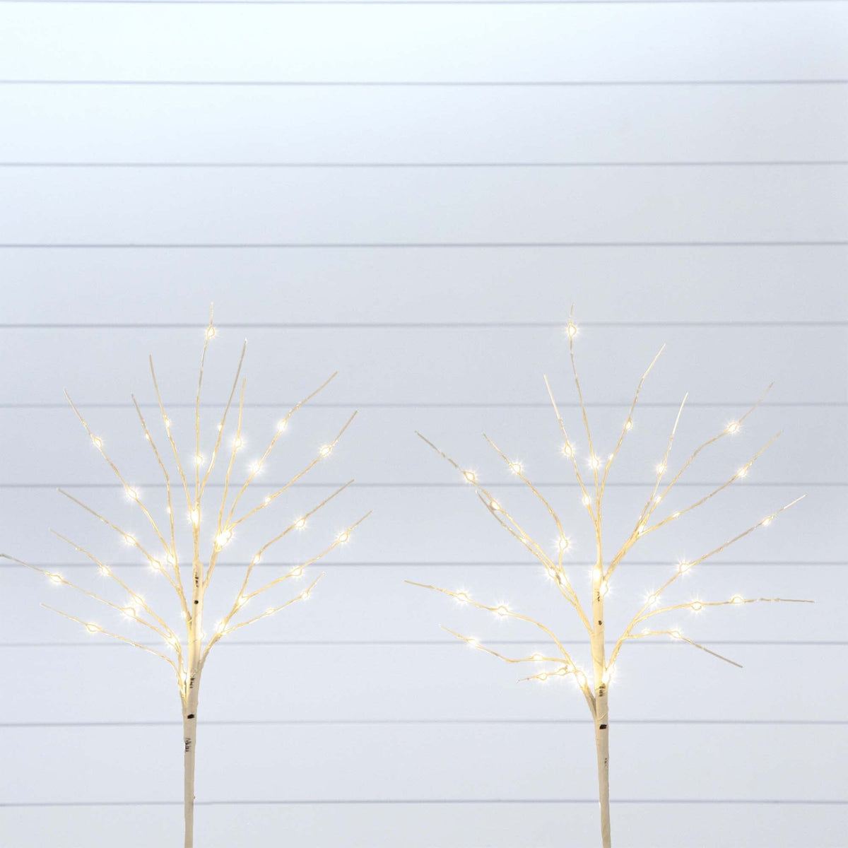 two trees with lights on them