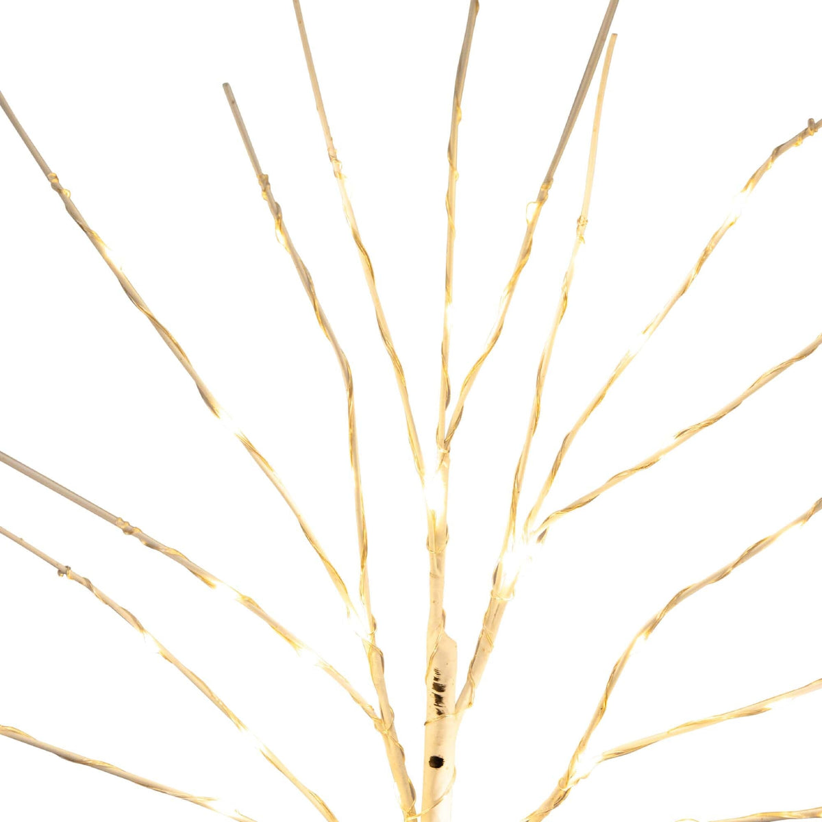 a tree branch with lights
