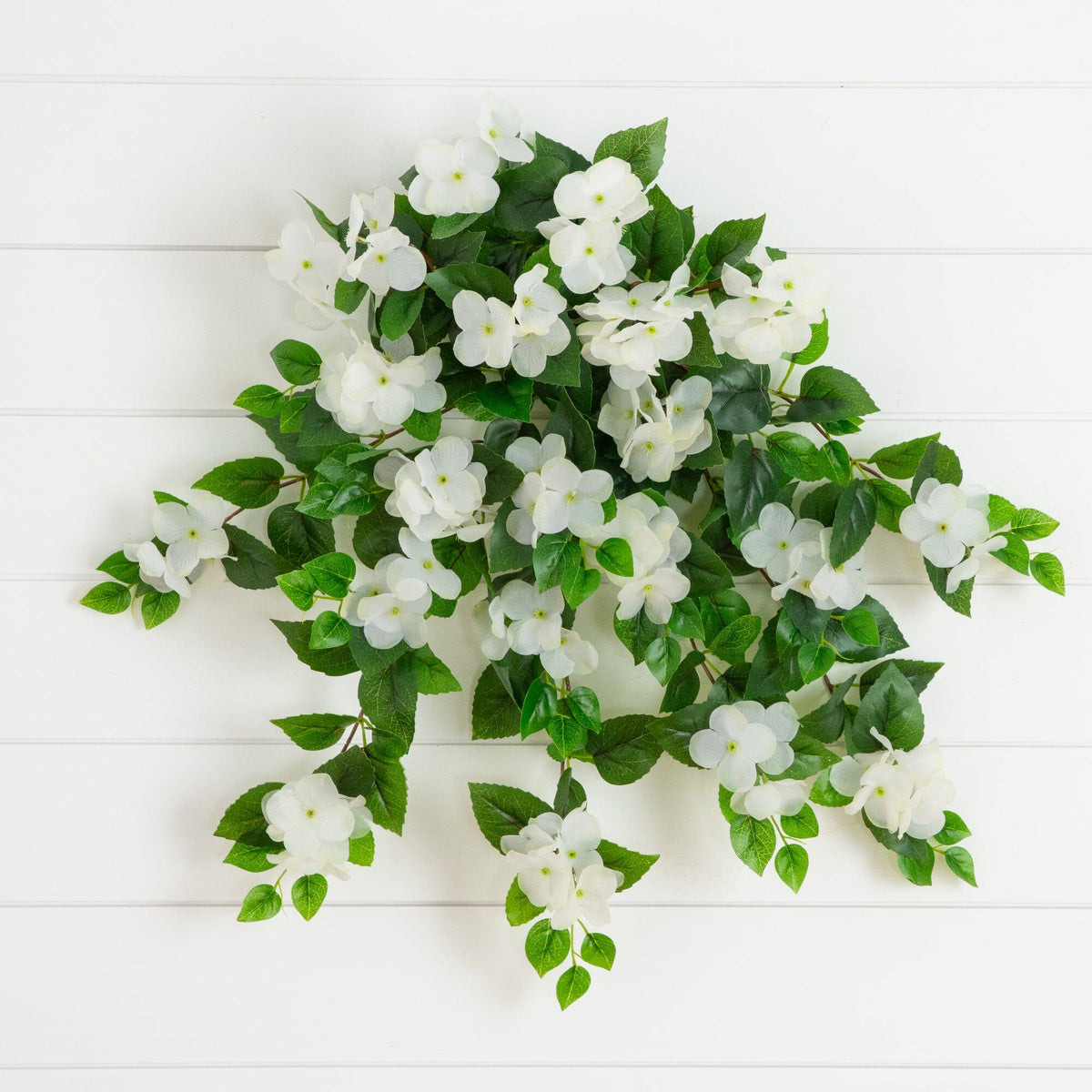 a white flowers on a white wall