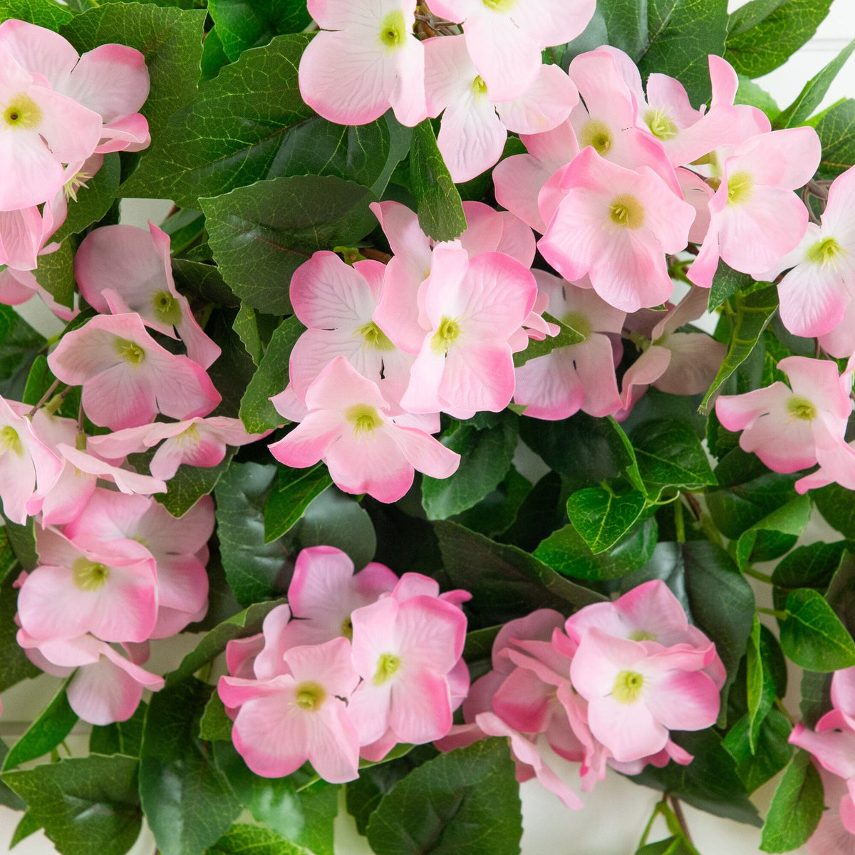 a group of pink flowers