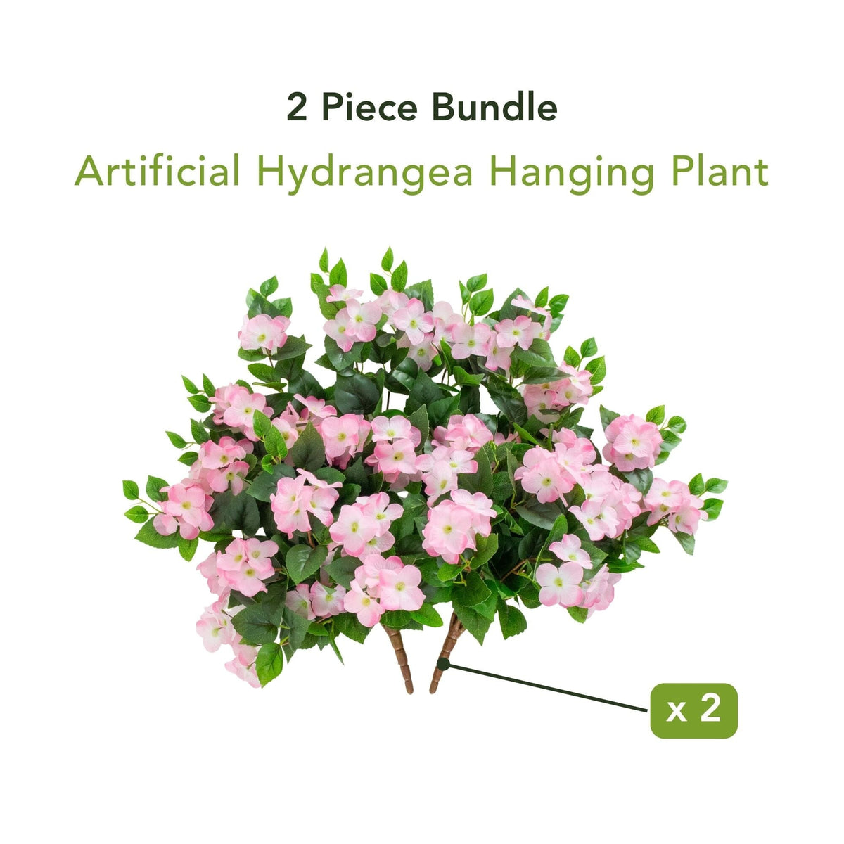 a plant with pink flowers