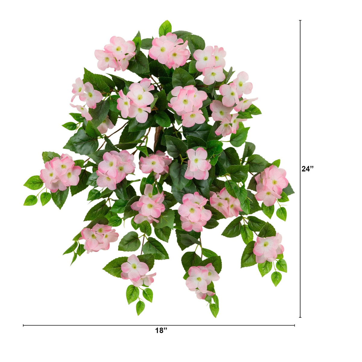 a plant with pink flowers