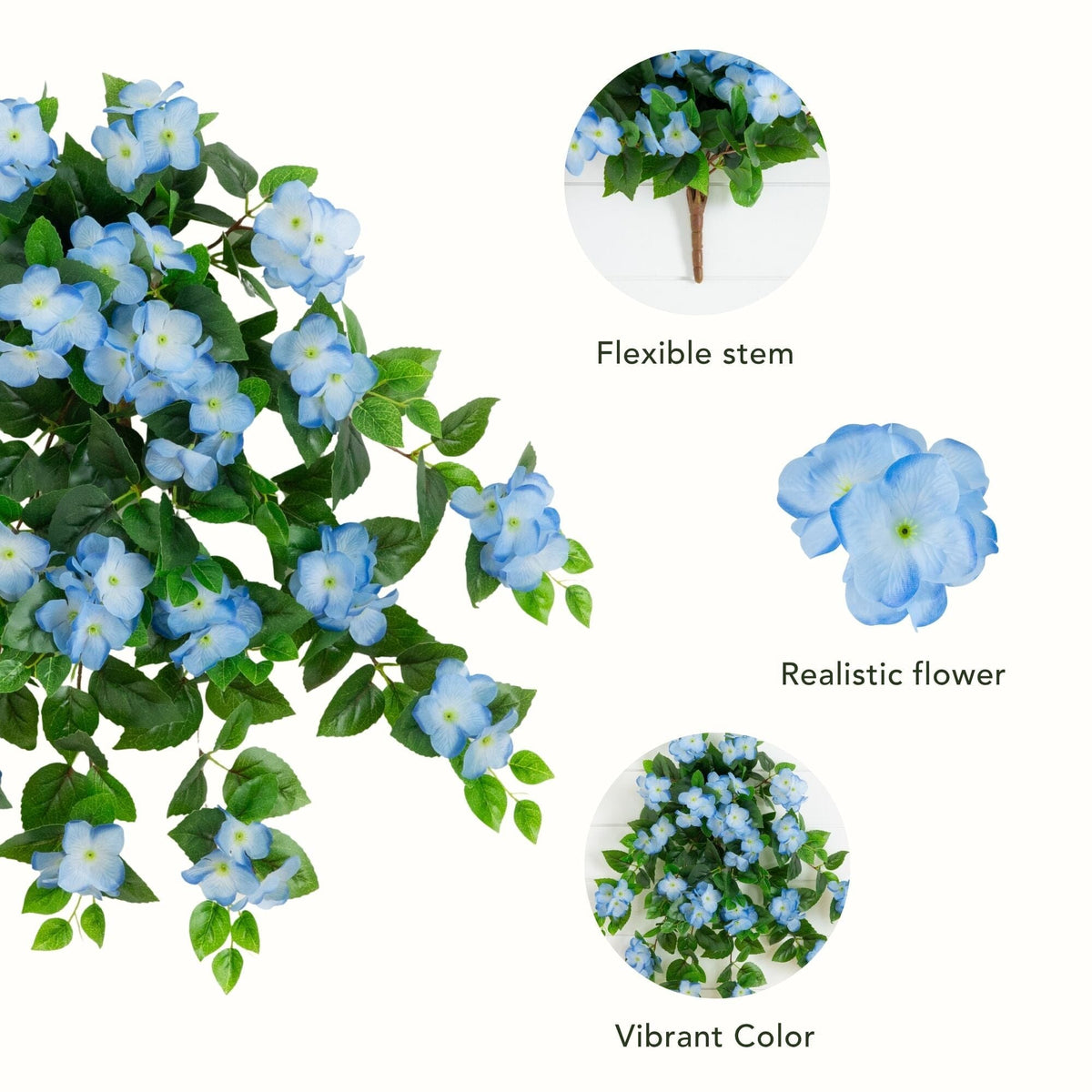 a plant with blue flowers