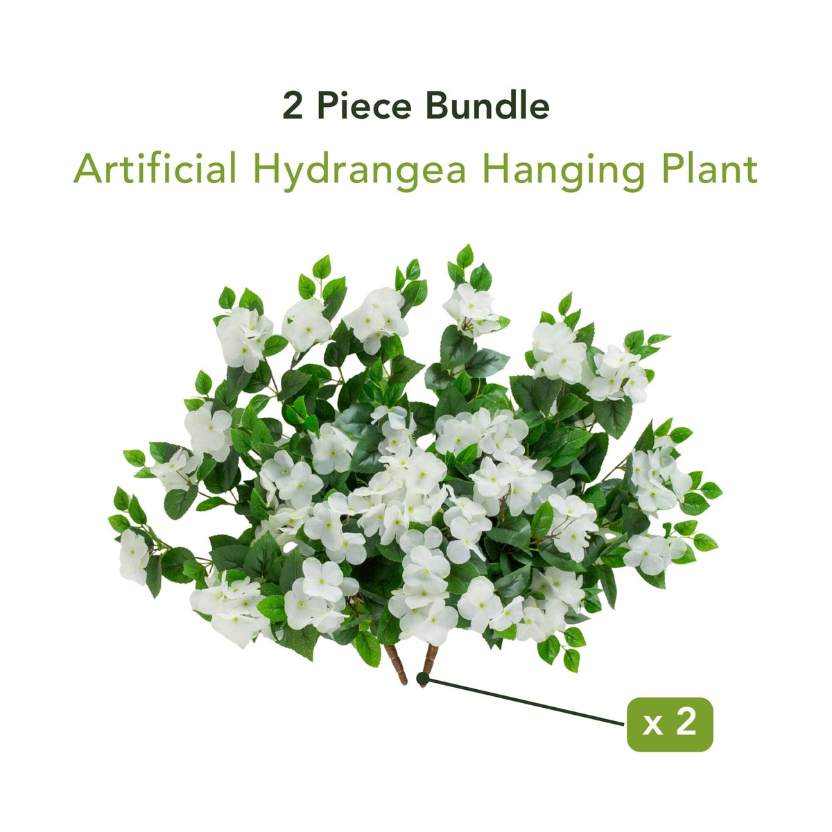 a plant with white flowers