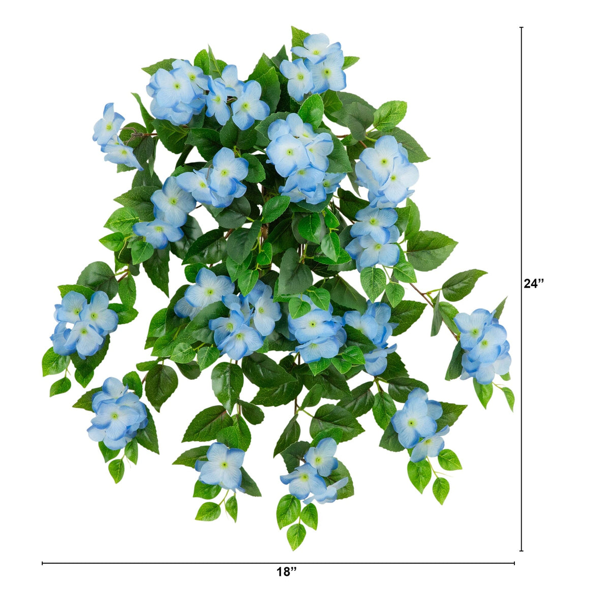 a plant with blue flowers and green leaves