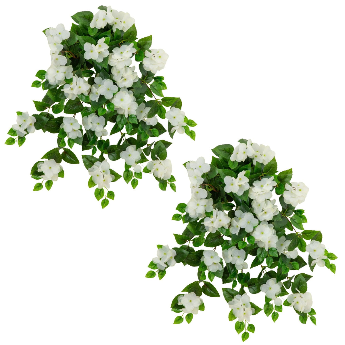 a group of white flowers and green leaves