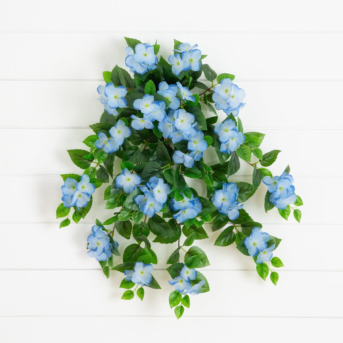 a blue flowers on a white wall