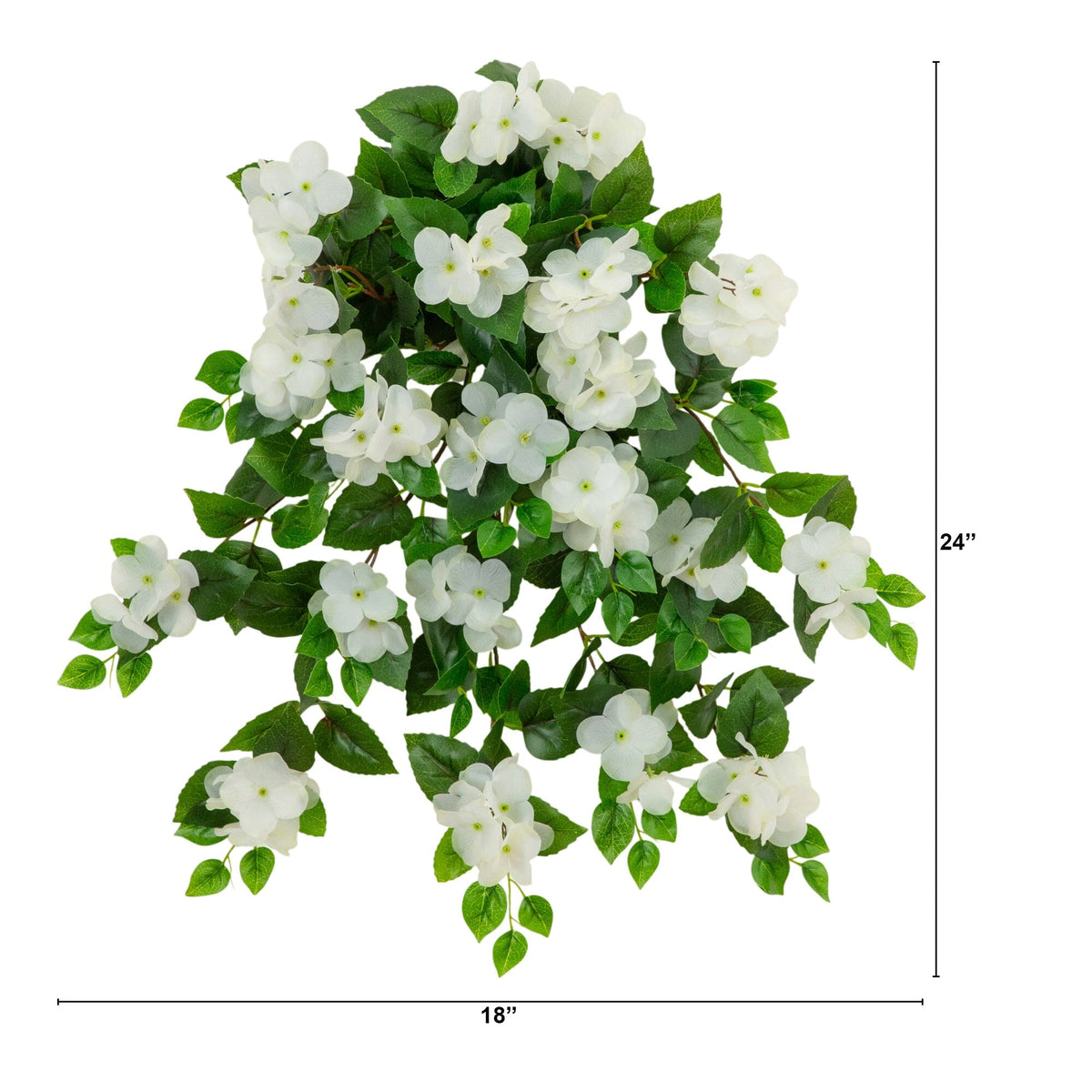 a plant with white flowers and green leaves