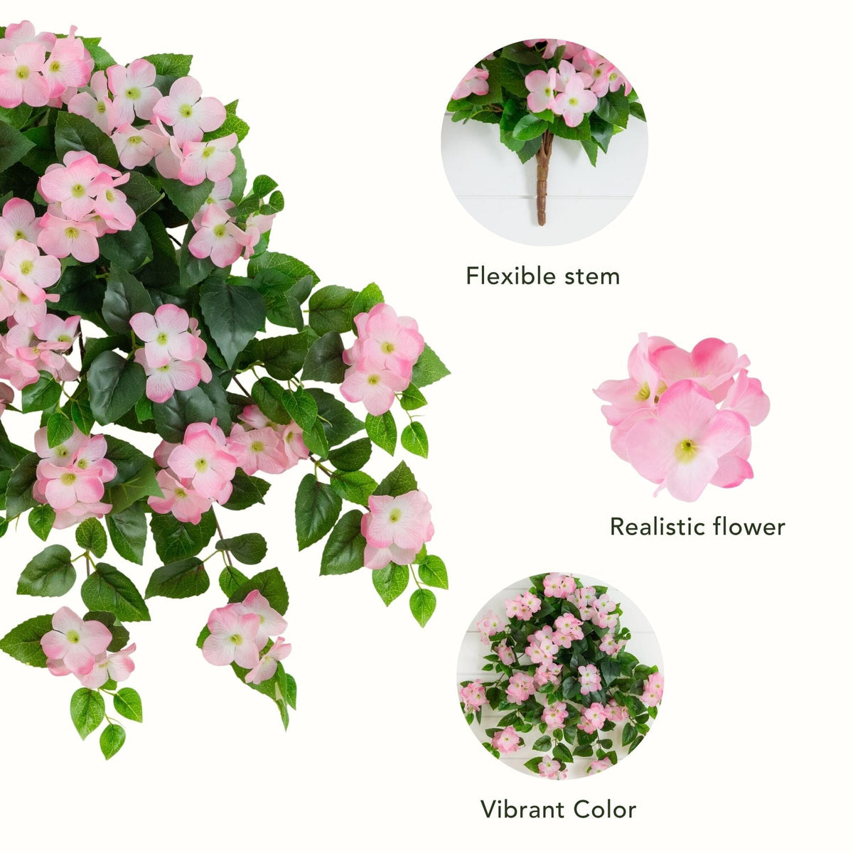 a plant with pink flowers