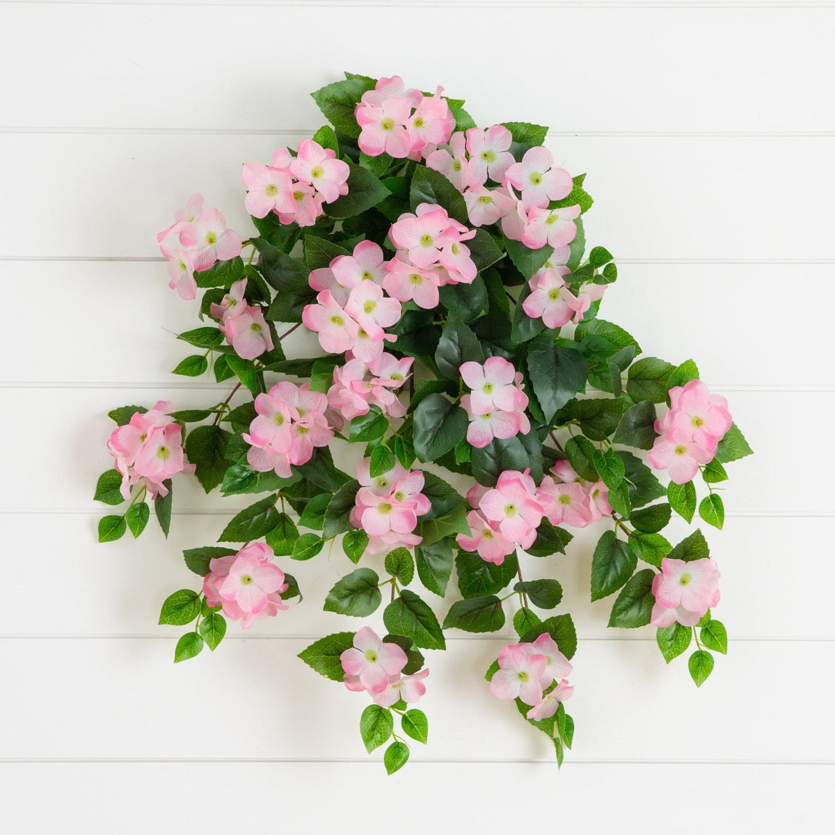 a plant with pink flowers and green leaves