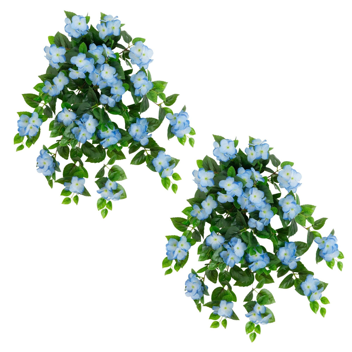 a group of blue flowers and green leaves