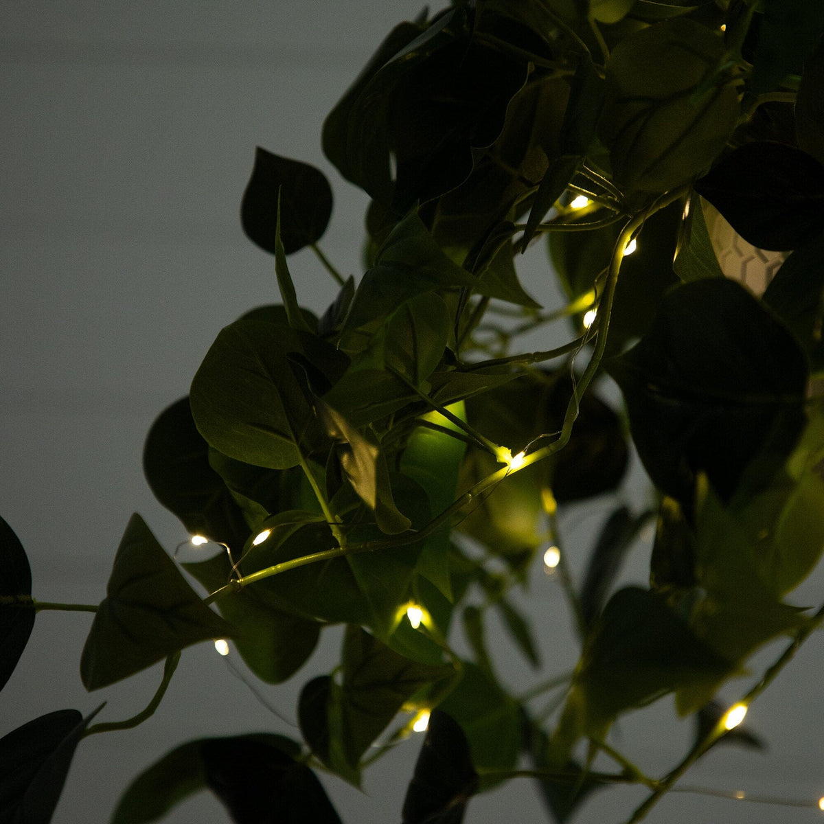 a close up of a plant with lights