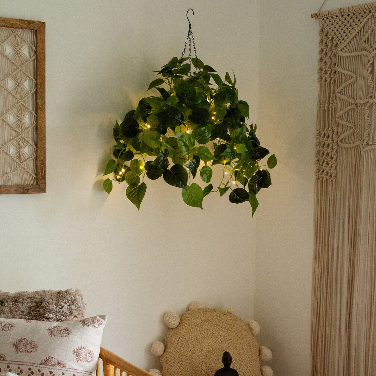 a plant from a ceiling