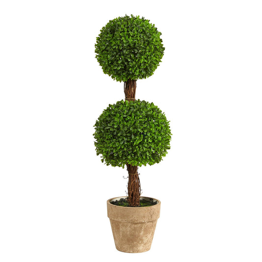 a potted plant with two round trees