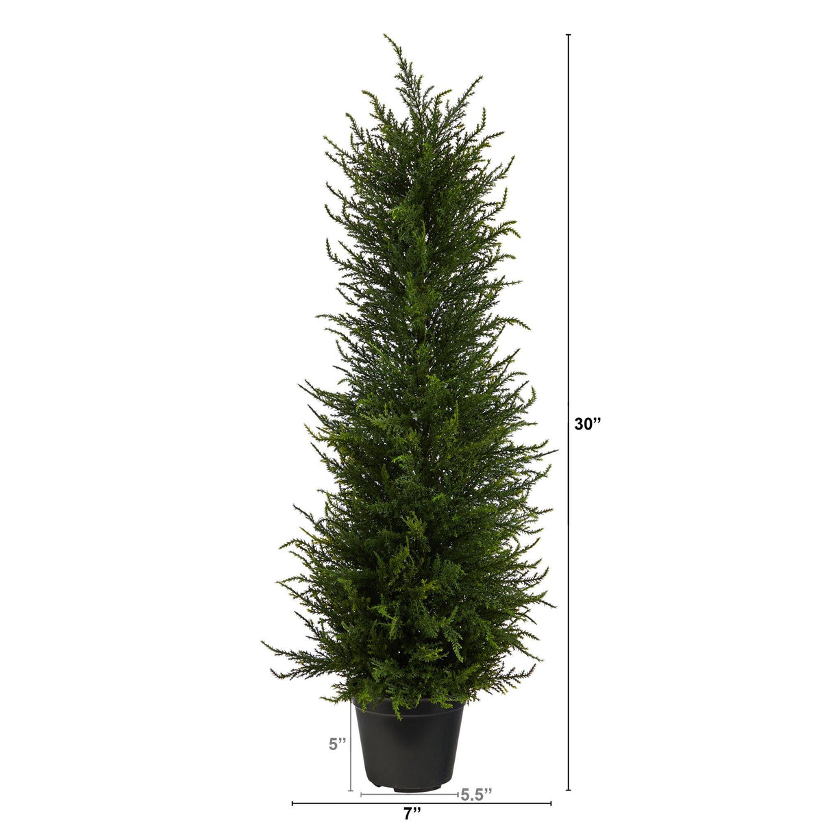 a tall green plant in a pot