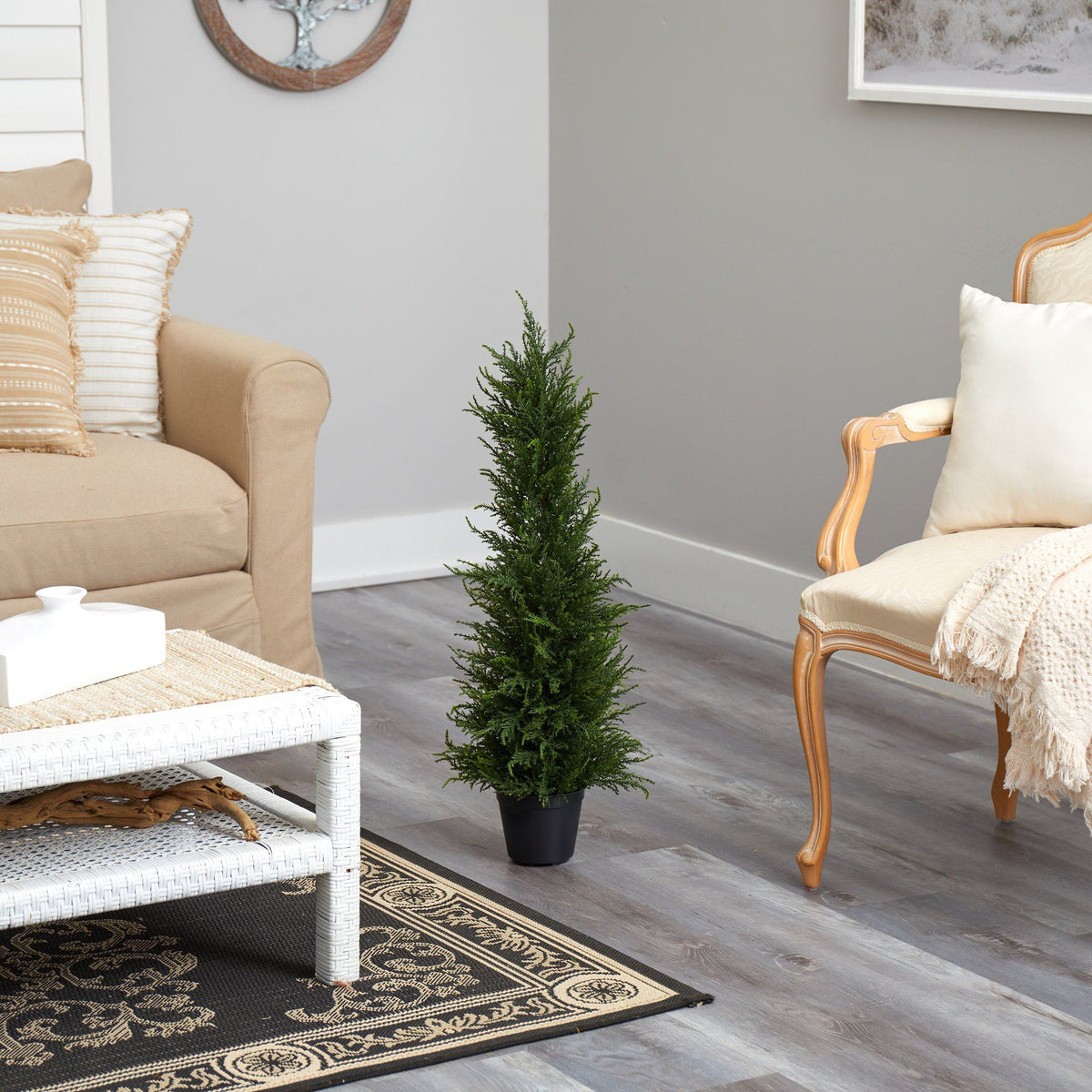 a living room with a small tree