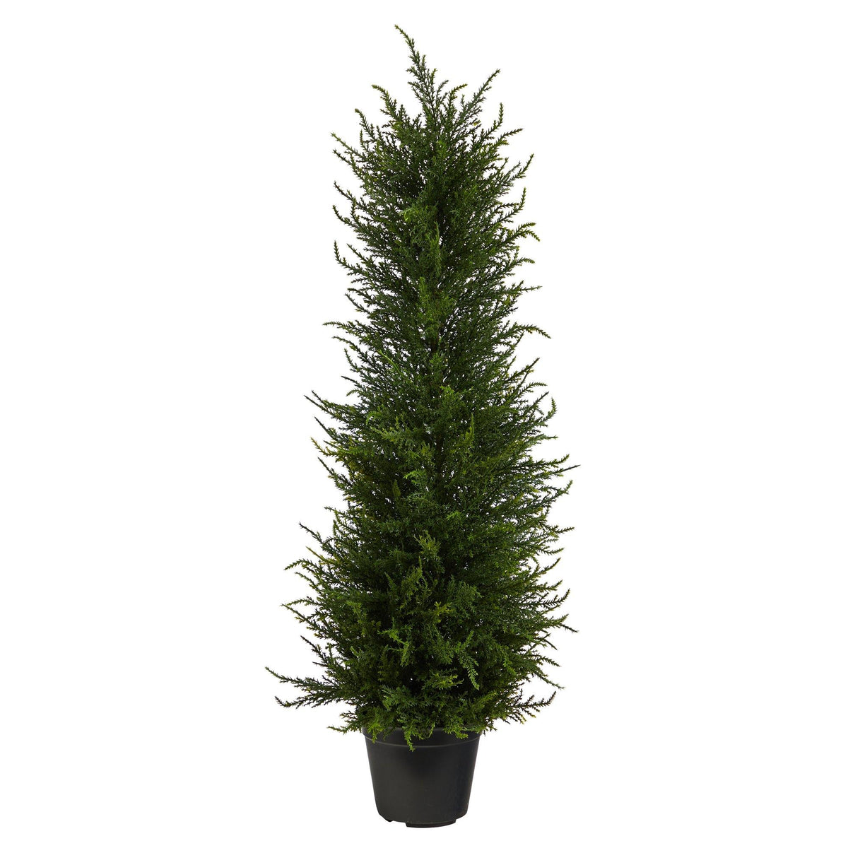a tall green plant in a pot