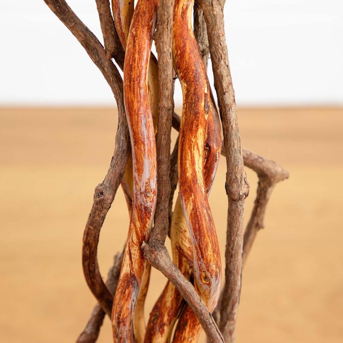 a close up of a bunch of sticks