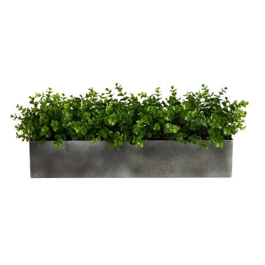 a planter with green leaves